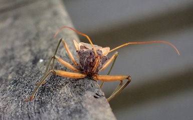 PA256405a.jpg